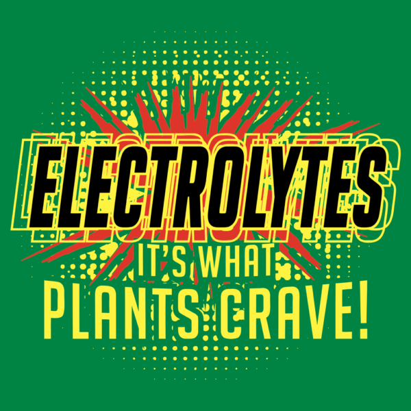 serum-electrolytes-chart